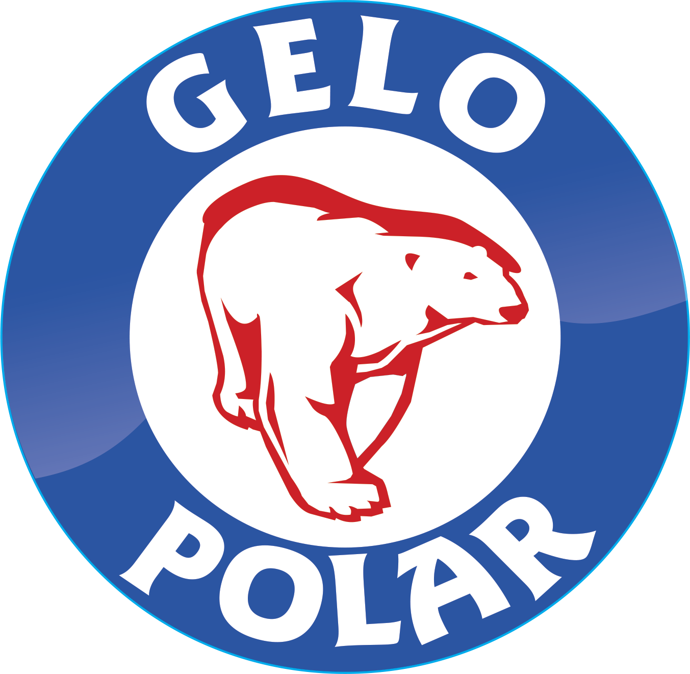 Gelo Polar